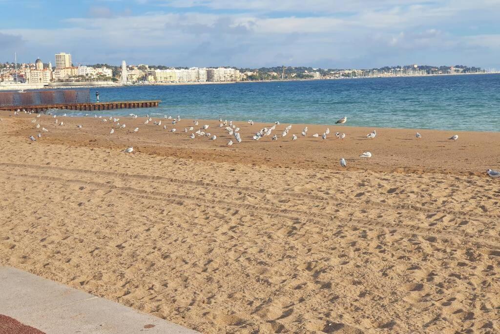 T2 climatisé à 5 minutes à pied de la plage avec parking, piscine et wifi Fréjus Exterior foto